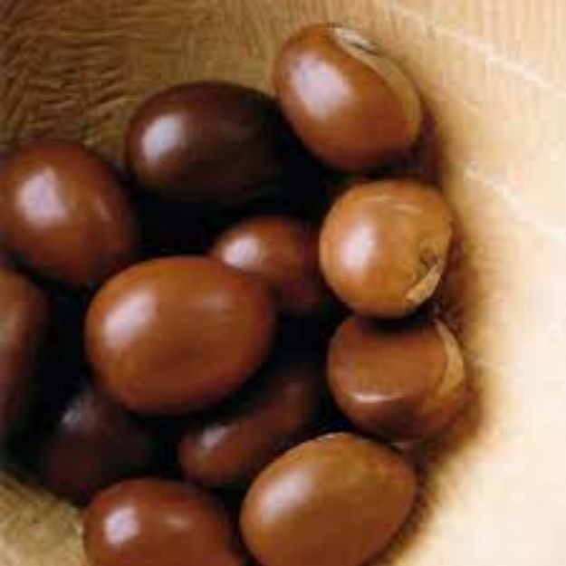 Image de Amande de karite bio (5 kg)