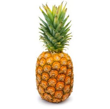 Image de Anana (Gros)